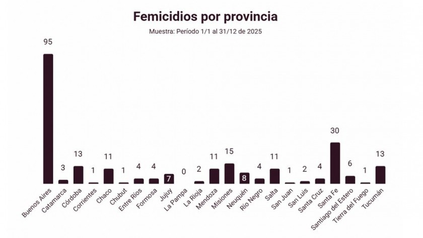 La Defensoría del Pueblo de la Nación registró 247 femicidios en 2025