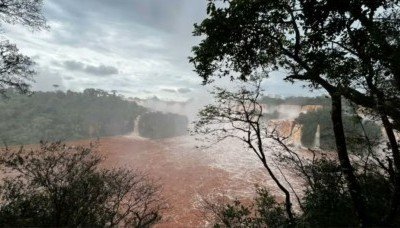 Reabre el Parque Nacional Iguazú tras la baja del río